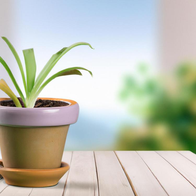 z czym łączyć trawy ozdobne