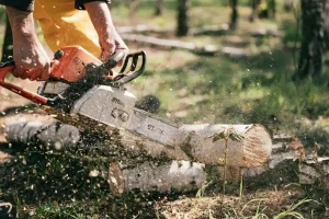 Jakie narzędzia przydadzą się do prac ogrodowych? Sprawdź!