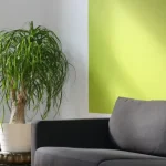 Odważne i modne kolory ścian do wykorzystania w salonie